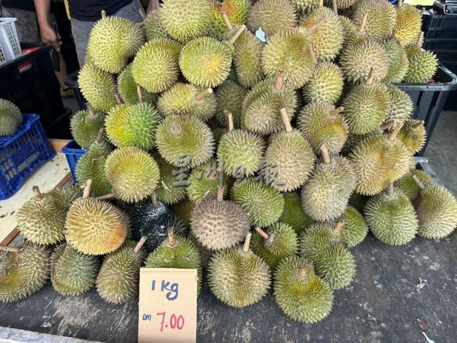 星角摄:NS/今年榴梿量多价跌,掀起抢购热潮