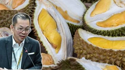 陈泓缣：市场过剩非进口泰国榴梿所致 本地榴梿拟出口加英纽