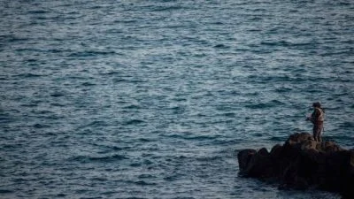陈子韩 /海岸上的觅食者