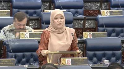 Only 19.4% of Malaysian Chinese attend Chinese independent schools, 13.3% enrolled in private institutions, says Fadhlina