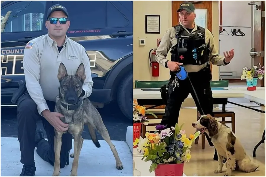 2警犬锁车内7小时活活焗死 美警官停职恐坐牢