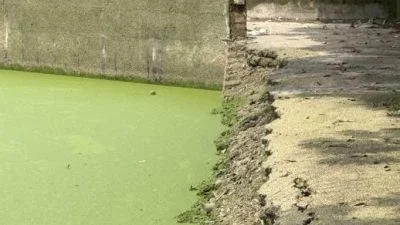 视频 | 污水处理站6公尺长围墙 大水灾中倒塌