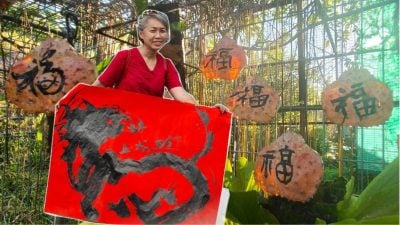 环保纸袋蟹壳变艺术载体 李丽珍挥毫倡环保