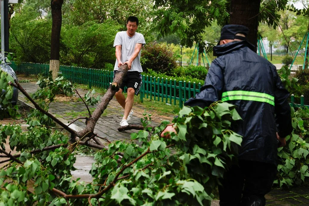 “巴威”两次登陆浙江风力达13级 中媒:10分钟风云骤变树连根拔起