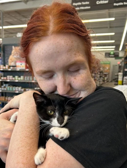 “帮我顾下猫,我要抢劫!” 奇葩男携3个月大萌猫打劫银行后落网 沦全网笑柄