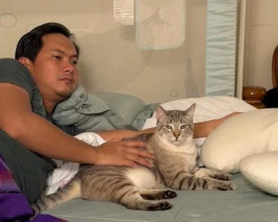 “汤姆”失踪2个月 马来企业家悬赏2万寻猫
