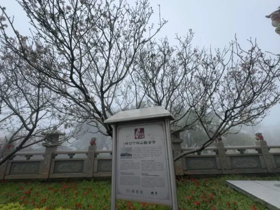 【台湾】台湾朝圣──一场心的归途