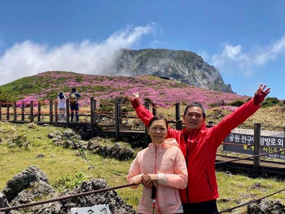 【日本】花若盛开,旅人自来