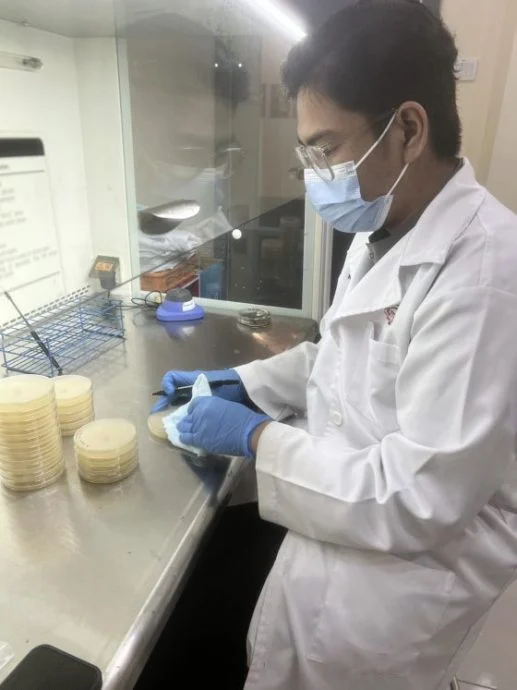 【菇菌经济学/01】种菇没有那么简单!新手菇农必修的三堂课