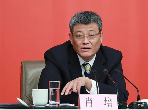 中共中纪委人事变动|港媒:王岐山嫡系出局