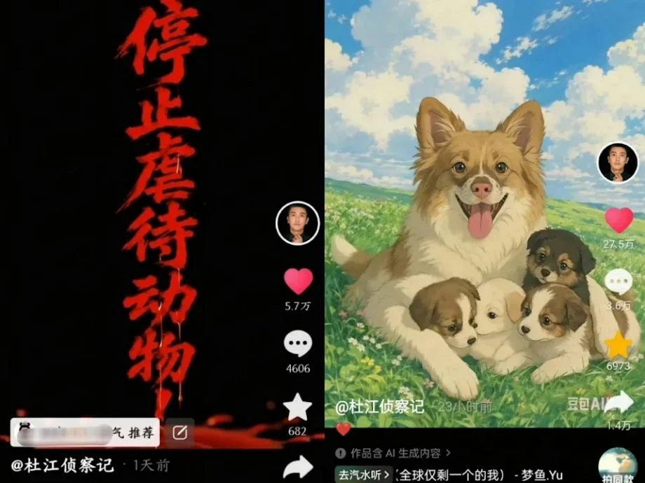 中国4男童火烧虐狗案引公愤 杜江发声视频屡遭下架