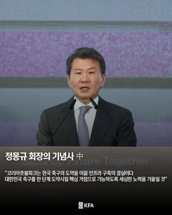 为球队世界杯表现负责 韩国足总会长辞职