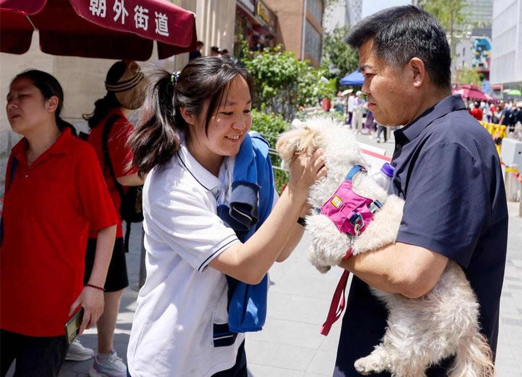 共享毛孩爆红!花几十元“租狗疗愈”陪放电 年轻人抢体验