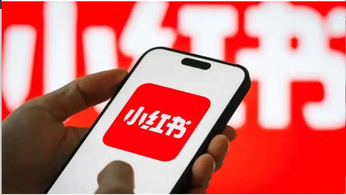 冲刺港股IPO前夕突遭前高管实名举报 境内称无关联、境外称全权控股,双重信披矛盾被控上市造假