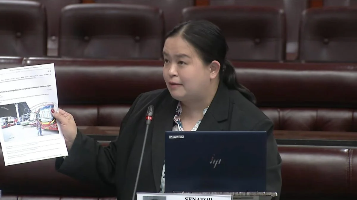 国会|卢成全促建企业并购监管制度 张菲倩吁加强规范数字平台