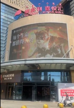 大众齐为揭阳被虐杀母犬一家发声 多地大型屏幕投放广告为狗狗讨公道