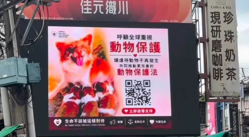 大众齐为揭阳被虐杀母犬一家发声 多地大型屏幕投放广告为狗狗讨公道