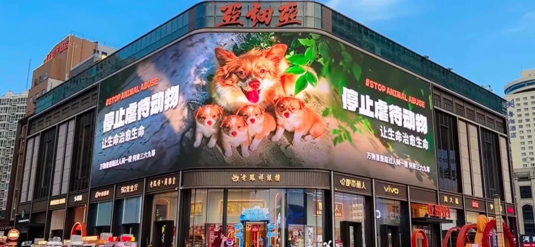 大众齐为揭阳被虐杀母犬一家发声 多地大型屏幕投放广告为狗狗讨公道