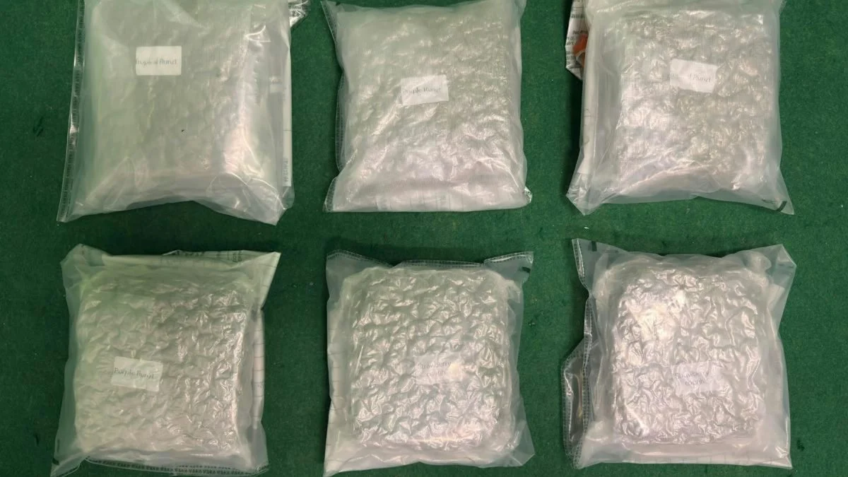 大马抵港行李藏大麻花 海关机场拘19岁马籍男子