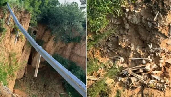山西道路坍塌大量白骨外露 官方:古代战场遗骸