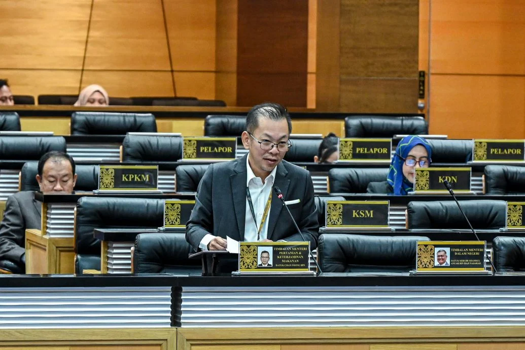 陈泓缣:泰国榴梿进口才2% 本地榴梿拟出口加拿大英国纽西兰