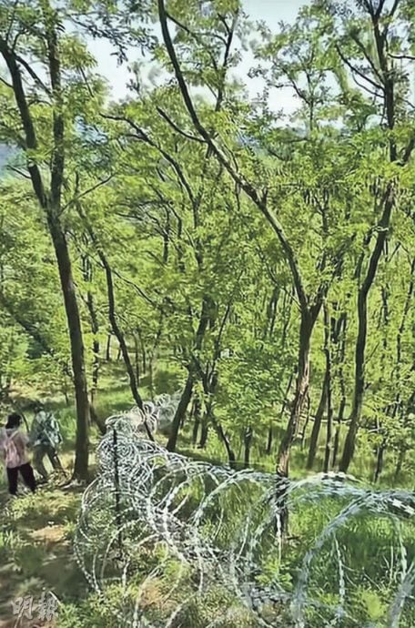 拚图)泰山135公里刀片刺网围封景区