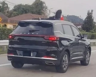 有图/母亲涉嫌让两名年幼女儿将头伸出汽车天窗