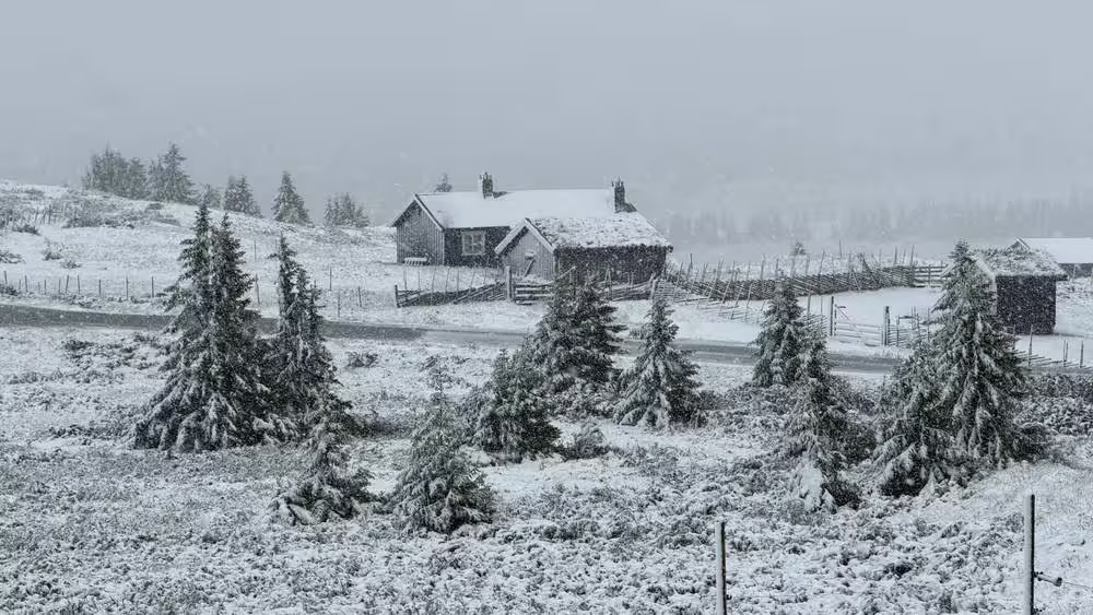 欧洲热浪肆虐 挪威中部飘7月雪