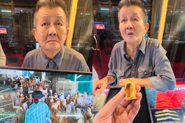 泰国女富豪晚年破产变卖最后黄金 只为救助1700多只流浪猫狗