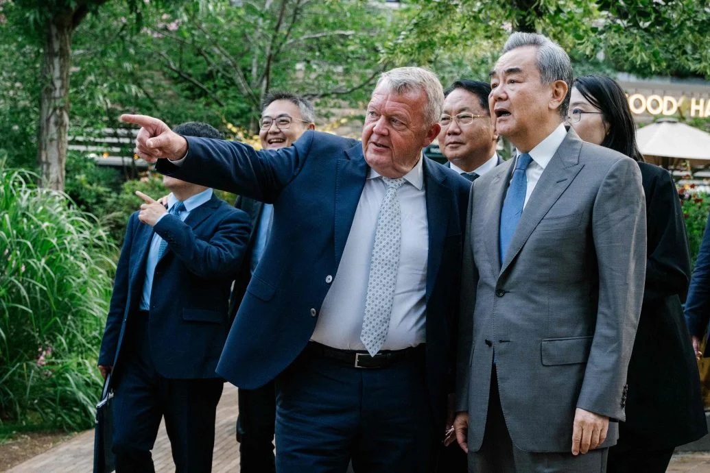 王毅会见丹麦外长:合作应是中欧关系主基调