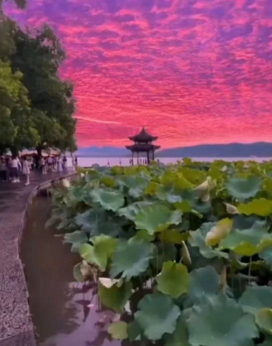 看世界)台风巴威登陆前 杭州现粉紫色天空