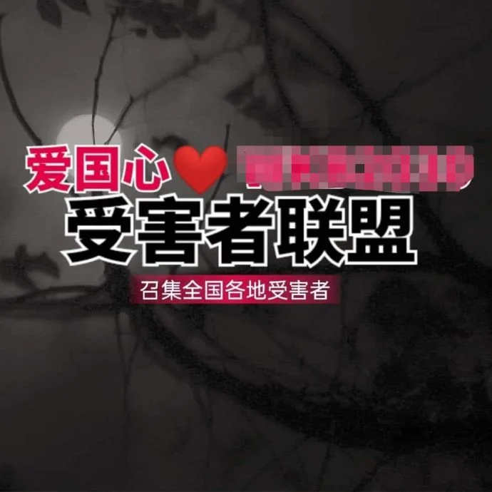 **社会**国:“爱国救国组织”涉诈骗〡知情者爆料:付费可成国家高管并从工程抽佣