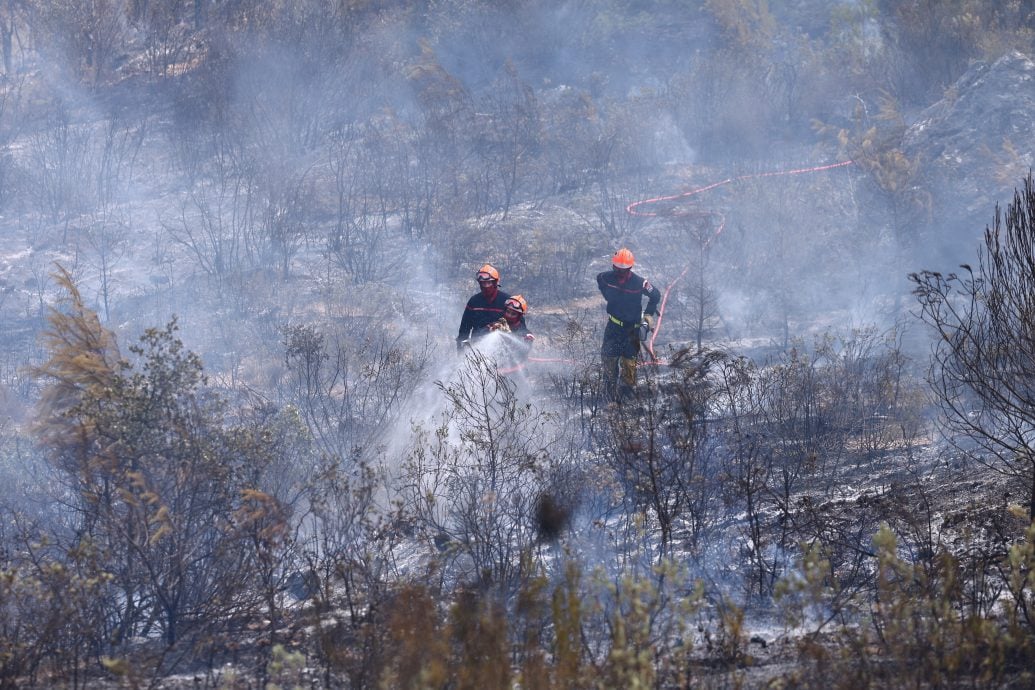 致命热浪!法国6月超额死亡人数突破5700