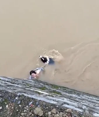 视频|“家人不能放弃!” 女子激流中抓住爱犬不放