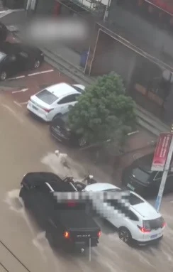 视频|单亲妈暴雨送餐被冲走 两司机开车筑“人墙”救命