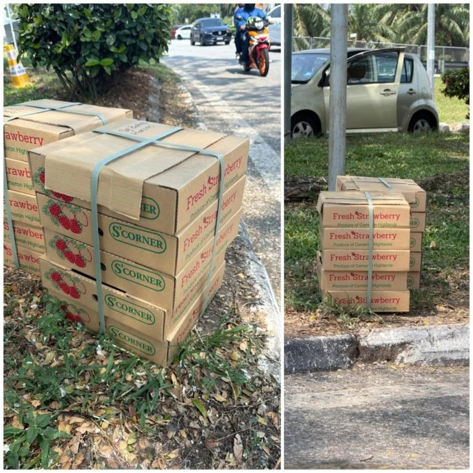 路边一箱箱草莓没人的? 内行揭真相