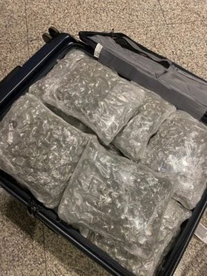边管局起获逾169万令吉的大麻花