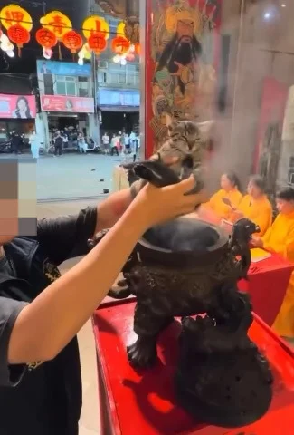 铲屎官抱猫咪“过炉”遭痛批 宫庙道歉禁宠物近香炉