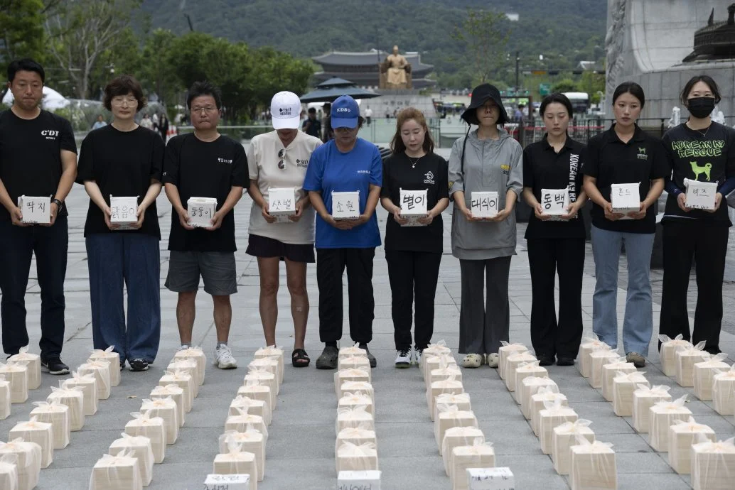 韩动物保护团体集会抗议 吁取缔非法屠狗行为