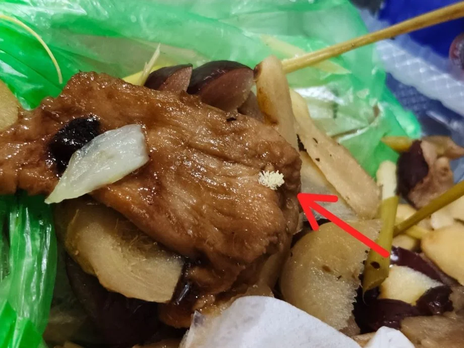 食物白色颗粒以为是芝士粉? 医生提醒:那是苍蝇卵!
