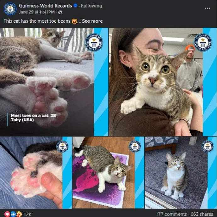 (全国版)早班车文/此猫有28根脚趾 追平吉尼斯世界纪录