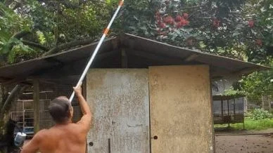 张丽珠／林家大院