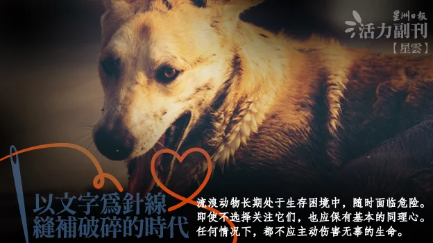 【缝补：守护流浪动物】我向狗狗忏悔/点滴（吉隆坡）
