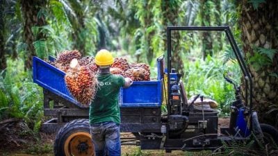 子公司遭索赔1.6亿  恐冲击盈利13％  吉隆坡甲洞先起后跌