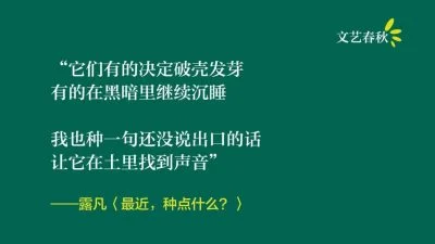 露凡/最近， 种点什么？
