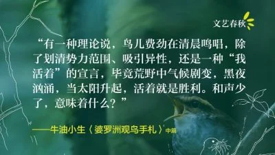 牛油小生/婆罗洲观鸟手札（中）