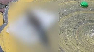 万津校园伤人案｜下课爆持刀伤人案　中三女生买面包后遇袭
