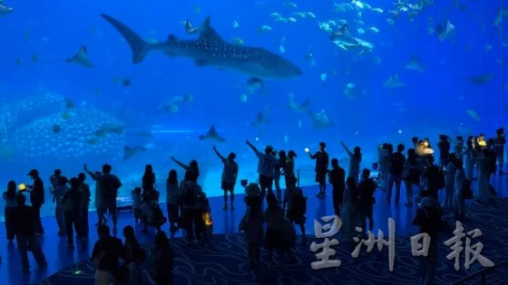 【中国】从澳门到长隆,一场找回童心的旅行