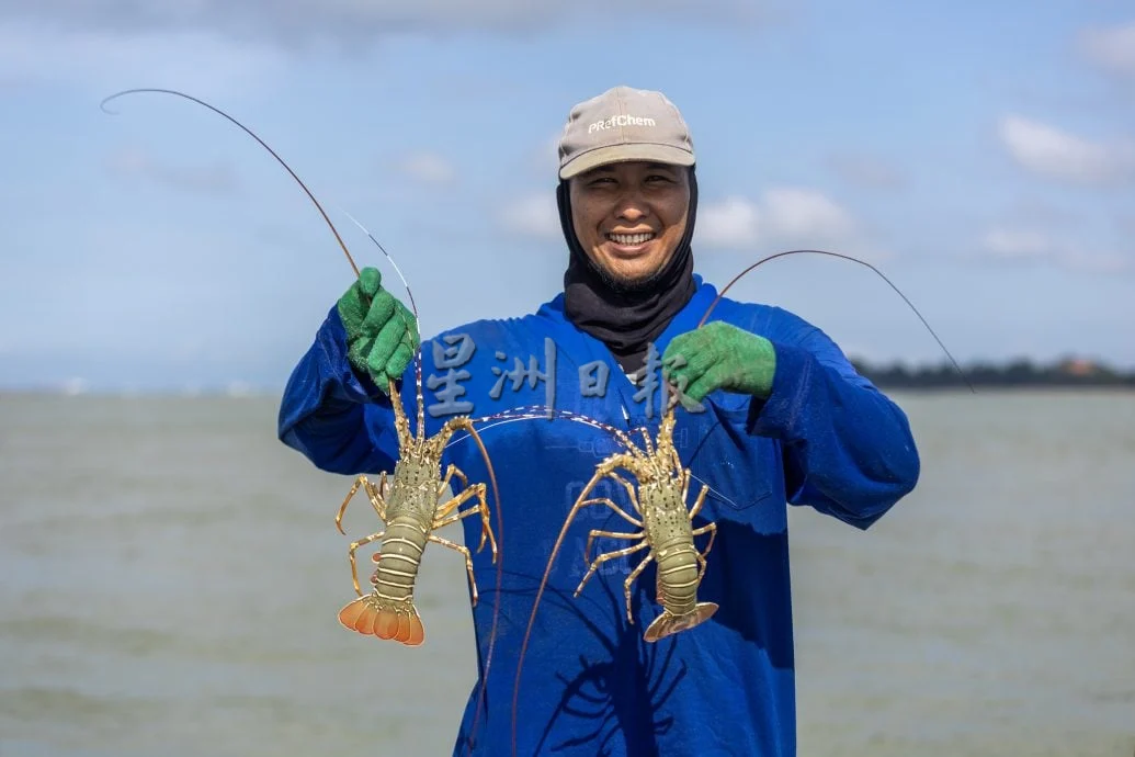 星角摄/图说大马:边佳兰渔民捕捞龙虾