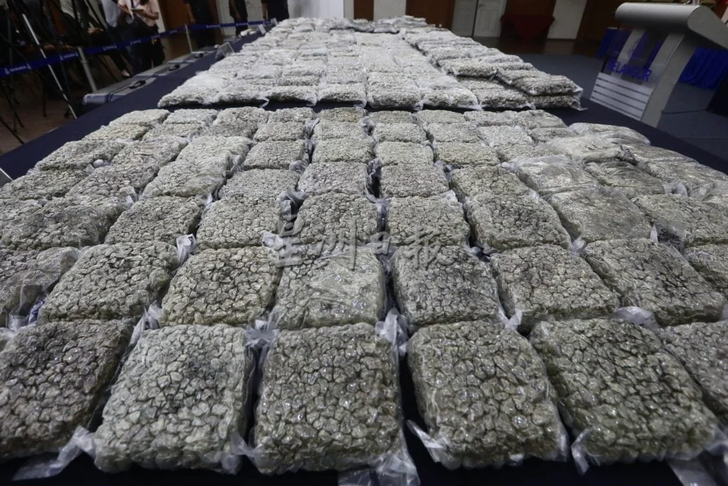 雪警4行动捕5男女 机场与民宅起获1334万令吉大麻花